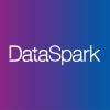 DataSpark logo